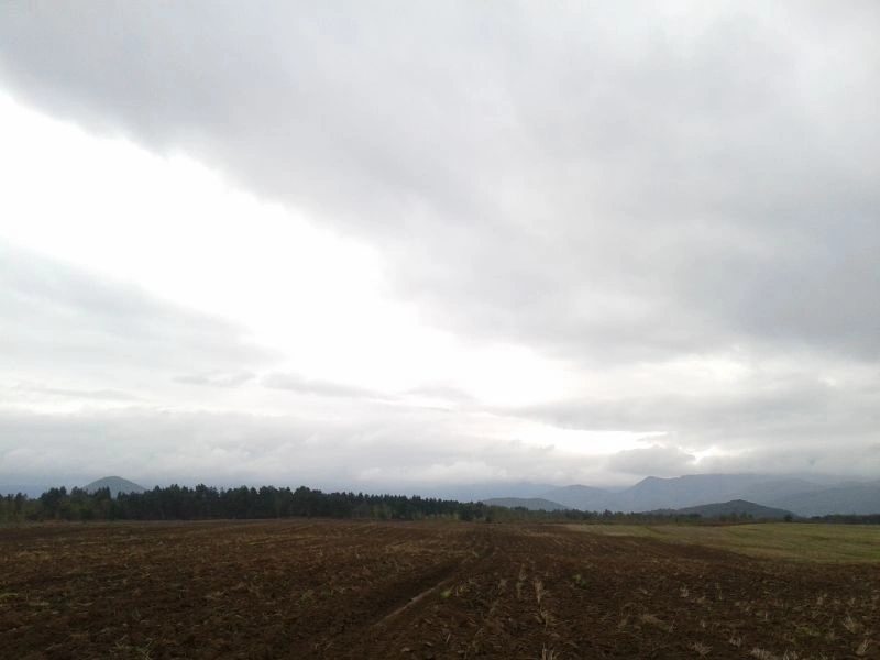 Agricultural land for sale for private use. Smiljankso polje, Gospić. 